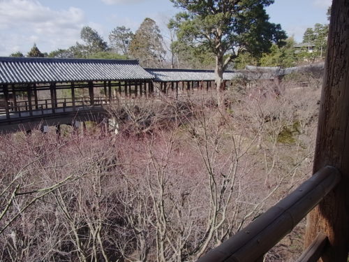 冬の通天橋はガラガラでした。:冬の京都　臨済宗 東福寺①